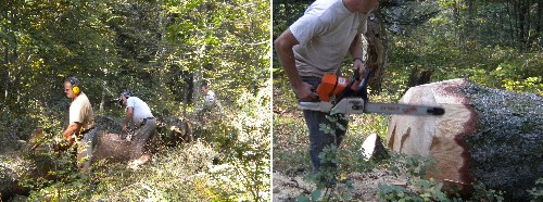 Ebranchage et finition